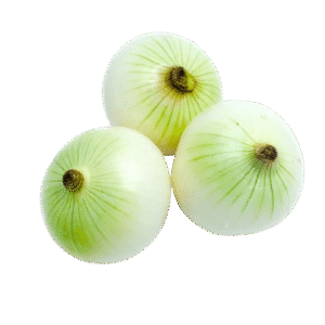 Cebolla Blanca